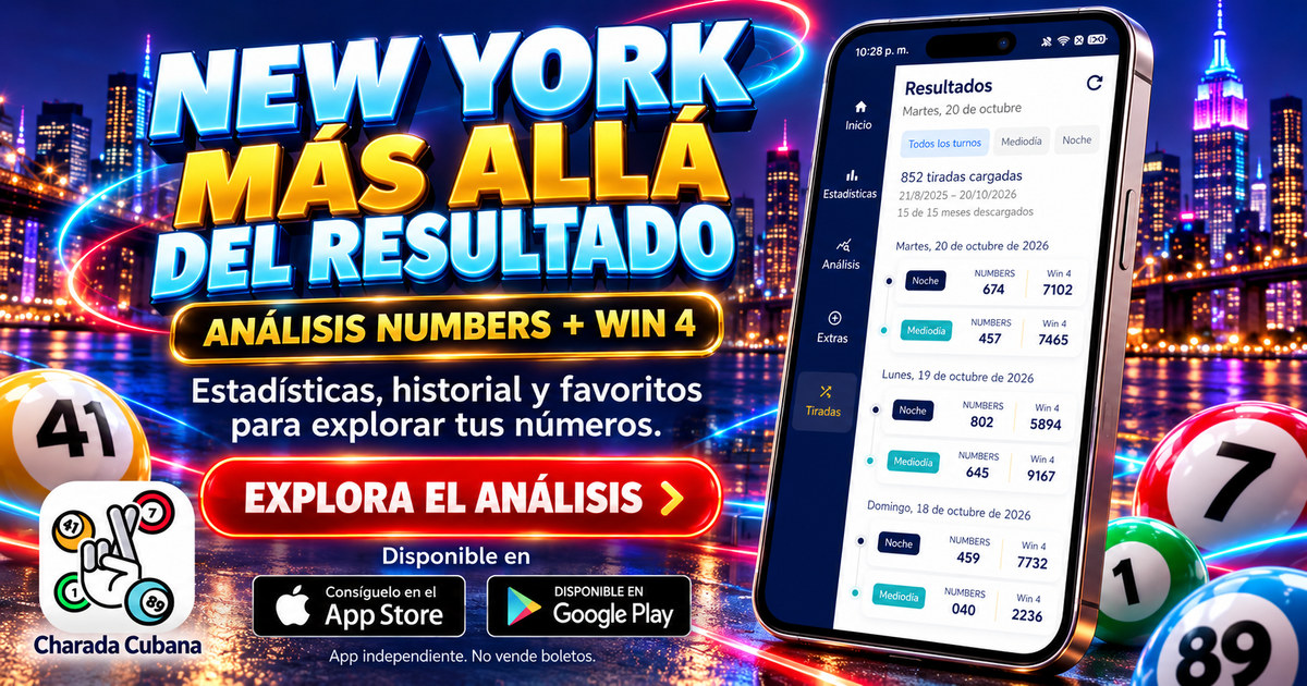 ANÁLISIS NUMBERS + WIN 4. Estadísticas, historial y favoritos para explorar tus números.